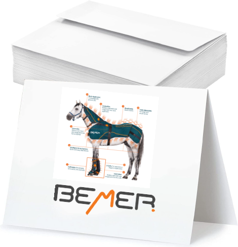 BEMER Notecards - (Pack of 10)