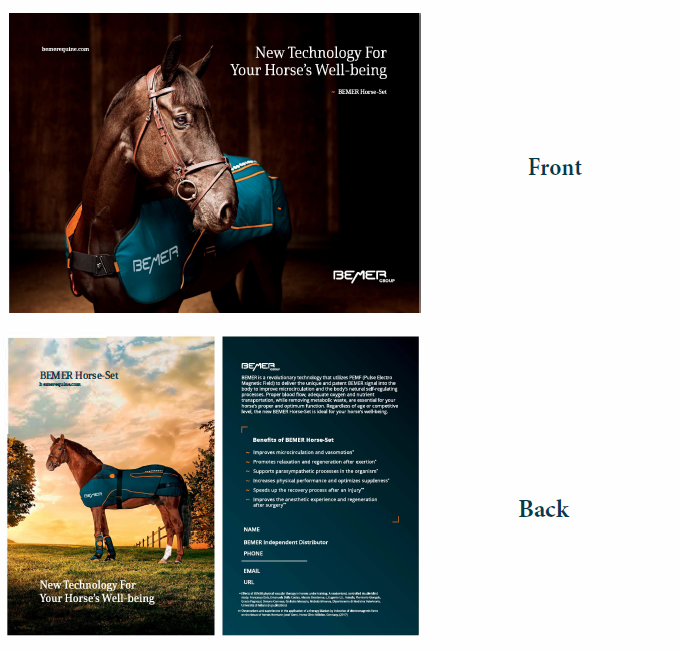 Horse-Set Info Card (40)